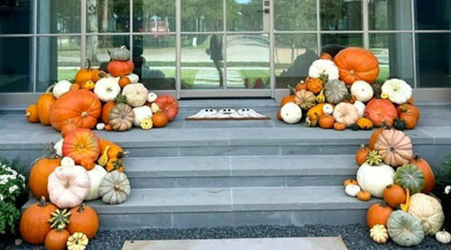 Porch of Plenty